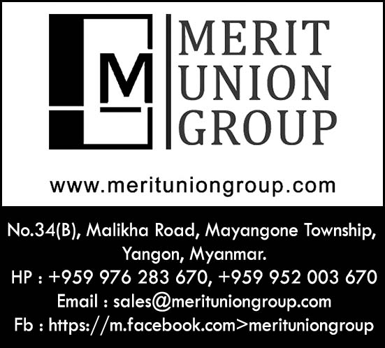 Merit Union Group
