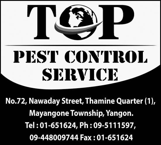 Top Pest Control Service