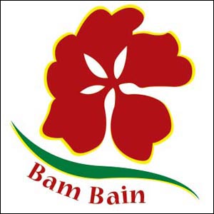 Bam Bain