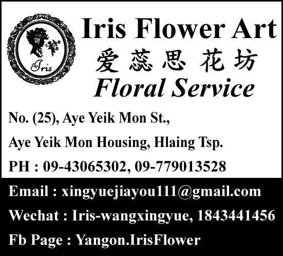 Iris Flower Art