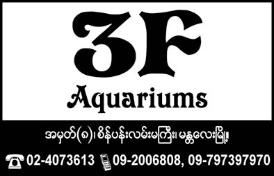3F Aquarium