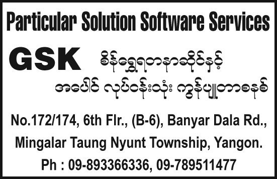 Particular Solution Co.,Ltd.,