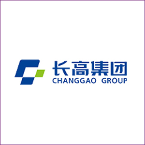 Hunan Changgao High Voltage Switchgear Group Co., Ltd.