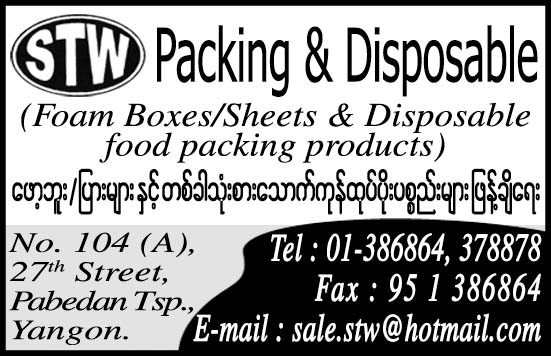 STW Packing and Disposable