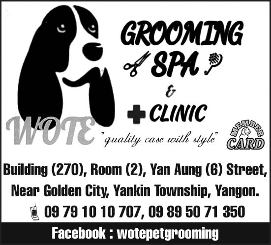 Wote Pet Grooming Spa, Hotel & Clinic