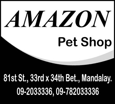 Amazon Pet Store