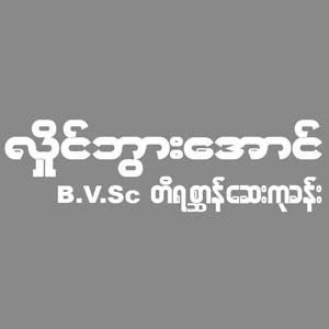 Hlaing Bwar Aung