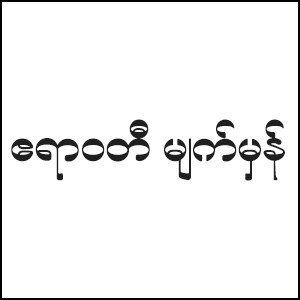 Ayeyarwaddy Optical