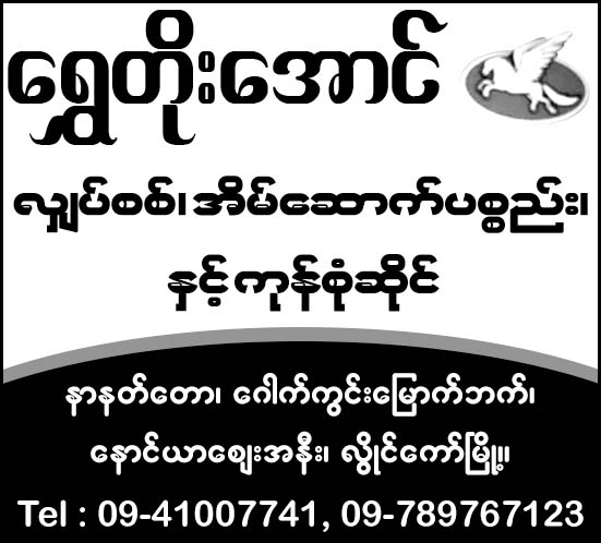 Shwe Toe Aung