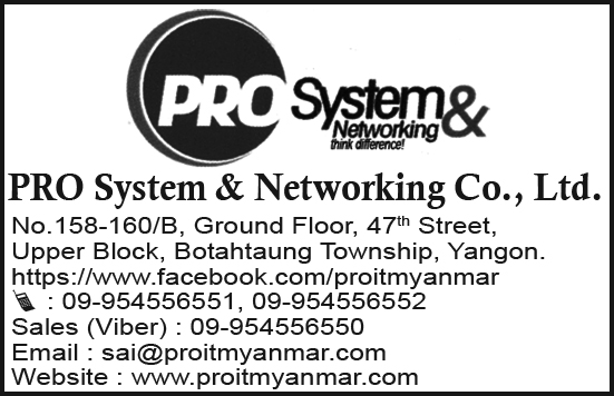 Pro System & Networking Co., Ltd.