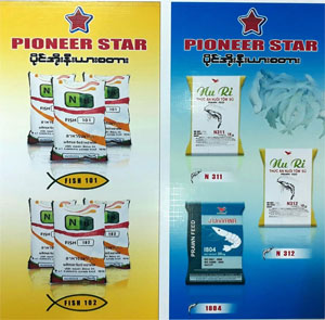 Myanmar Pioneer Star Co., Ltd.