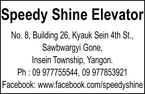 Speedy Shine Elevator