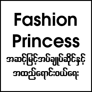 Fashion Princess
