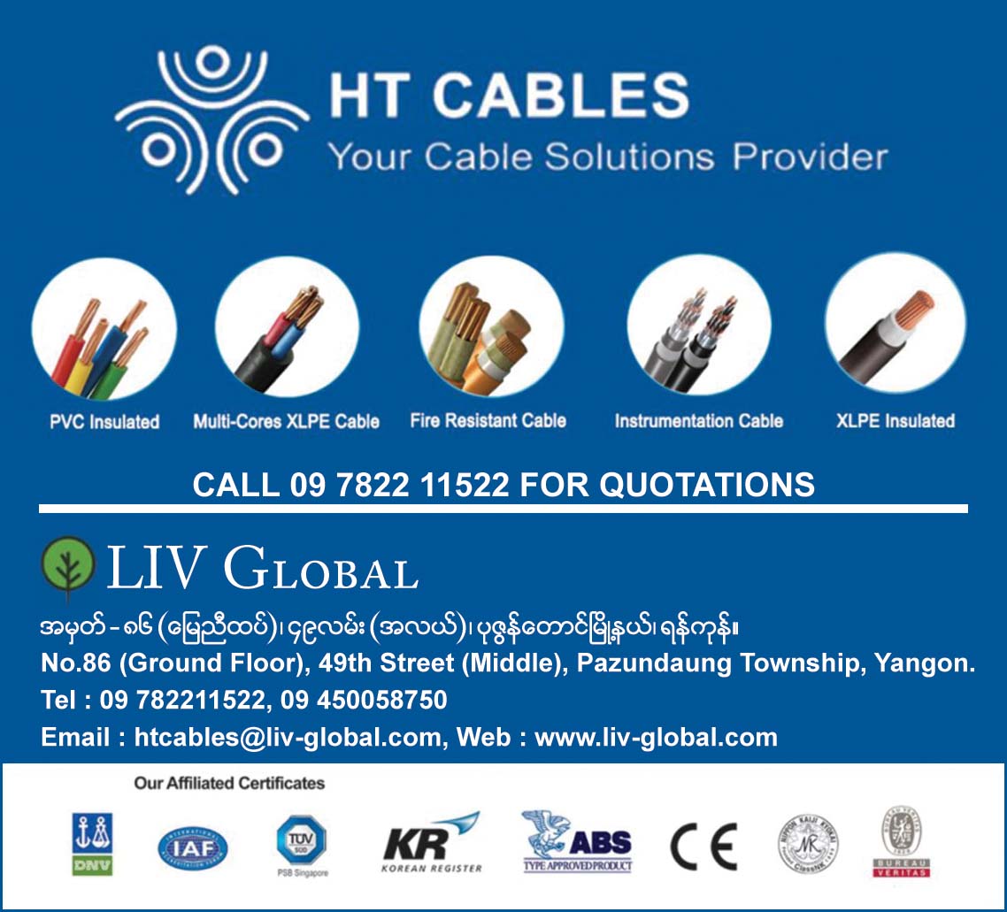 LIV Global (HT Cables)