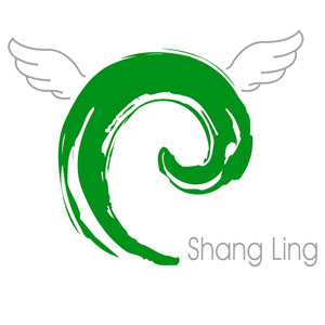 Shang Ling Hearing Aid Center
