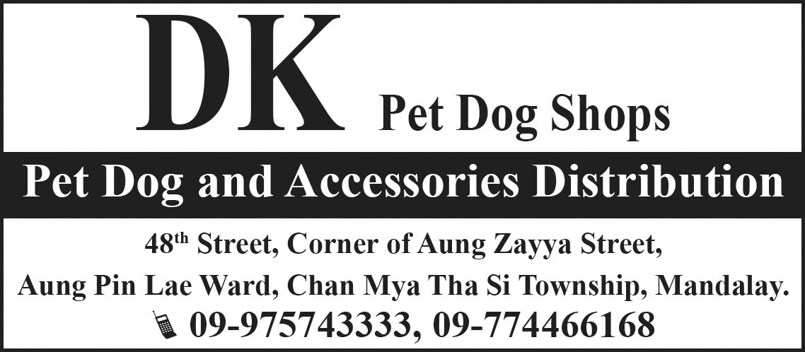 DK Pet Dog Shops
