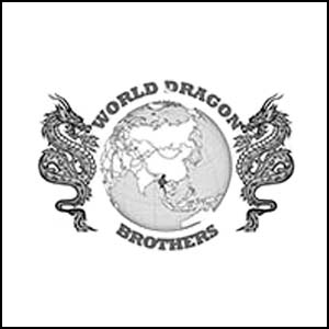 World Dragon Brother Survey