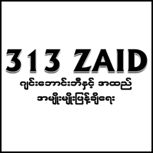313 Zaid