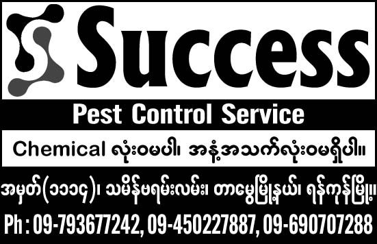 Success Pest Control Service
