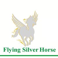 Flying Silver Horse Int'l Trading Co., Ltd.