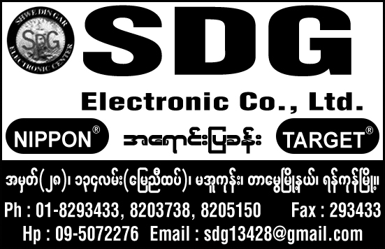 SDG Electronic Co., Ltd.
