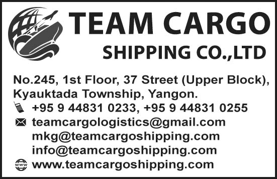Team Cargo Shipping Co., Ltd.