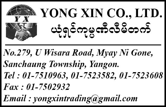 Yong Xin Co., Ltd.